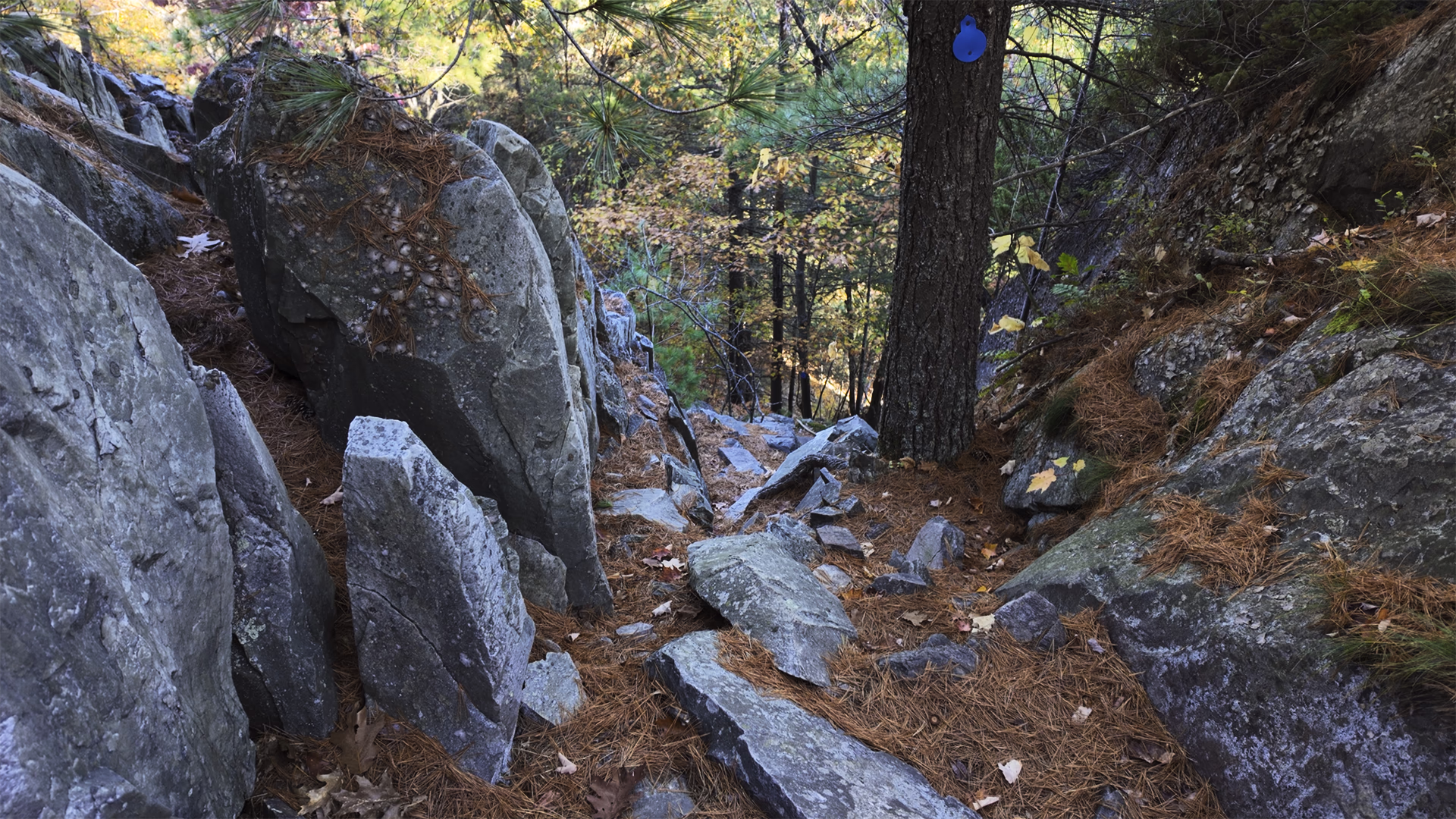 A steep descent between H21 and H22 on the La Cloche Silhouette Trail in Killarney Park.